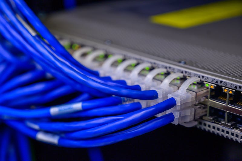 Ethernet network cables plugged into a patch panel