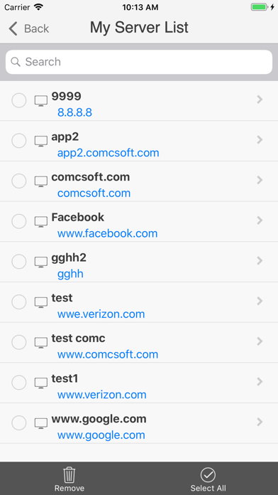 iNetTools DNS lookup