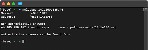 Terminal output showing nslookup reverse DNS lookup for 142.250.185.46
